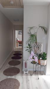 a hallway with rugs and plants on the floor at Green Dream Apartment Szaunával in Miskolc