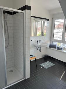 y baño con ducha y lavamanos. en Gemütliche Wohnung mit 2 Schlafzimmern auf 75 qm, en Kürnach