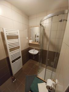 W łazience znajduje się prysznic i umywalka. w obiekcie Apartments at Klemen w mieście Zgornje Gorje