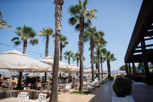 un resort con palme, sedie e ombrelloni di Hotel GRINT a Golem
