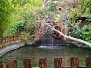 a waterfall in a pond in a garden at MAVİ AT HOTEL Blue Horse in Gümüşdere