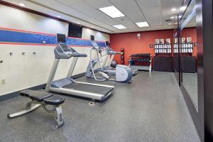 Fitness centrum a/nebo fitness zařízení v ubytování Hampton Inn & Suites Austin South Buda