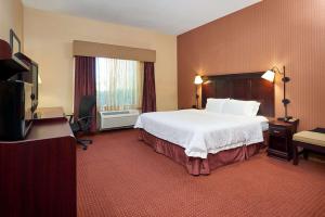 Postel nebo postele na pokoji v ubytování Hampton Inn & Suites Austin South Buda