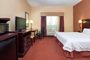 TV a/nebo společenská místnost v ubytování Hampton Inn & Suites Austin South Buda