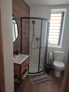 Bilik mandi di Apartamenty Grodzisko