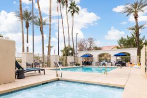 a pool at a hotel with palm trees at Hampton Inn Phoenix-Chandler in Chandler