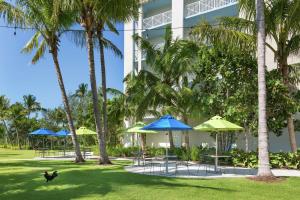 Hilton Garden Inn Key West / The Keys Collection في كي ويست: كلب يجري أمام مبنى فيه مظلات