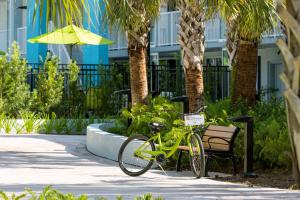 una bicicletta verde parcheggiata accanto a una panchina di Hilton Garden Inn Key West / The Keys Collection a Key West