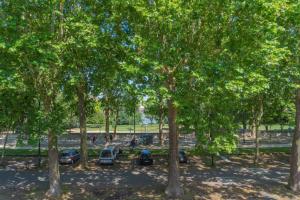 a group of trees with parked cars in a park at Superbe Appartement au bord de la Garonne Toulouse in Toulouse