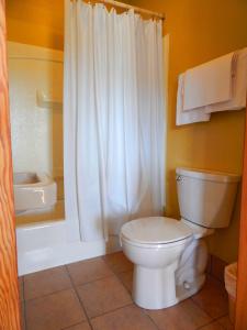 a bathroom with a white toilet and a shower at MacIver's Motel and Camp in Blind River