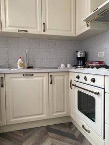 Kuchyň nebo kuchyňský kout v ubytování Apartament in stil unic langa Primaria Arad