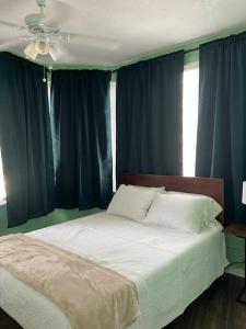 1 dormitorio con 1 cama grande y cortinas azules en Cosy 3-Bedroom Downtown Walk to Convention Center, en Tampa