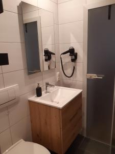 a bathroom with a sink and a toilet and a mirror at Weingut Engelhardt in Röttingen