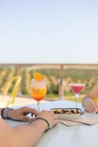 un groupe de personnes assises à une table avec des boissons dans l'établissement Sleep & Nature Hotel, à Lavre