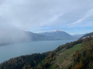 Paesaggio naturale nelle vicinanze dell'appartamento
