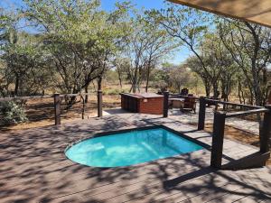 a swimming pool on a deck with a picnic table and trees at Crimson Bush Lodge in Klipdrift