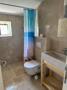 y baño con aseo, ducha y lavamanos. en Ražanac Apartments, en Ražanac