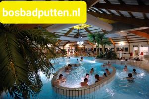 Výhled na bazén z ubytování Knusse Landelijke Chalet 2 volw 3 kind in Putten alleen voor recreatie nebo okolí