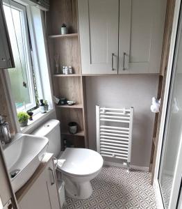 a bathroom with a white toilet and a sink at Sandy Toes, Padstow in Padstow
