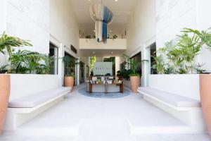 Balkón nebo terasa v ubytování Hotel Casa Barbara Holbox