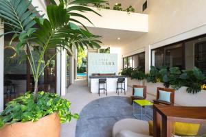 a living room with potted plants and a table at Hotel Casa Barbara Holbox in Holbox Island