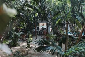 Zahrada ubytování Hotel Casa Barbara Holbox