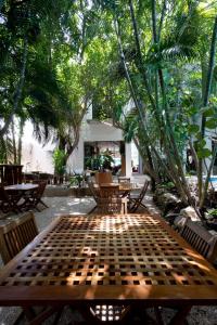 Zahrada ubytování Hotel Casa Barbara Holbox