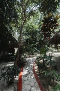 Zahrada ubytování Hotel Casa Barbara Holbox