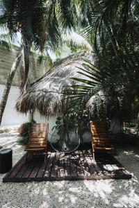 Zahrada ubytování Hotel Casa Barbara Holbox