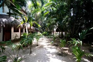 Zahrada ubytování Hotel Casa Barbara Holbox
