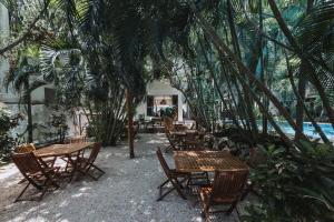 Zahrada ubytování Hotel Casa Barbara Holbox