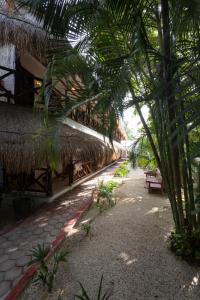 Zahrada ubytování Hotel Casa Barbara Holbox