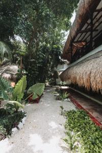 Zahrada ubytování Hotel Casa Barbara Holbox