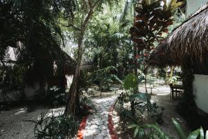 Zahrada ubytování Hotel Casa Barbara Holbox