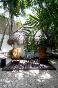 Zahrada ubytování Hotel Casa Barbara Holbox