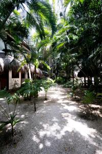 Zahrada ubytování Hotel Casa Barbara Holbox
