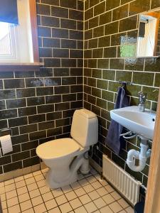 ein Bad mit einem WC und einem Waschbecken in der Unterkunft Cosy house in the old village in Miðvágur