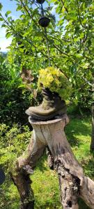 a planter sitting on top of a tree stump at Hof Notburga - Erholung, Ruhe & Natur pur 