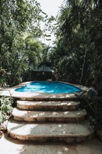 a swimming pool with stairs around it with trees at Hotel Casa Barbara Holbox in Holbox Island