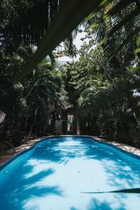 a swimming pool in a jungle with trees at Hotel Casa Barbara Holbox in Holbox Island