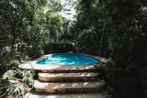 Bazén v ubytování Hotel Casa Barbara Holbox nebo v jeho okolí