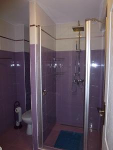 ヘーヴィーズにあるVilla Mariaのバスルーム(ガラス張りのシャワー、トイレ付)