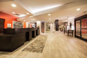 The lobby or reception area at Hampton Inn & Suites Denver-Downtown