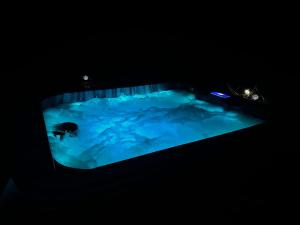 烏斯塔利茲的住宿－LES CHAMBRES D'ARRAUNTZ，在黑暗的房间里,在蓝色的浴缸里游泳的人