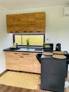 a kitchen with a sink and a counter top at Tiny House by the forest “2” 