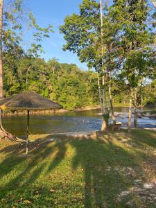 a picnic table next to a river with trees and a river gmaxwell gmaxwell gmaxwell gmaxwell at Residencial das Cachoeiras in Presidente Figueiredo