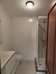 a white bathroom with a toilet and a shower at Apartamento Paseo Fluvial in Tui