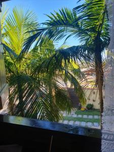 una palmera es vista a través de una ventana en Pousada Estrela da Manhã, en Penha