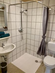 a bathroom with a shower and a toilet and a sink at Gödelsteinhof in Contwig