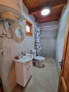 ein Bad mit einem Waschbecken und einem WC in der Unterkunft Cabana rustica de vacanta in Braşov